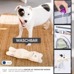 Freudentier Nachhaltiges Hundespielzeug Daniel -Trixie Verkäufe 399eb762da5db839e1d54b11a980f1adc24ffa3a 1408970 de DE 4fae29de579b316485a3de702f2c6d8ee3ac7b4f8TlZcj