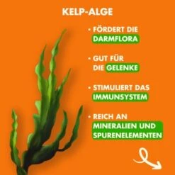 Irish Pure Trockenfutter: Irisches Freiland-Huhn Mit Gemüse & Kelp-Alge, Puppy 1,5 Kg -Trixie Verkäufe 3a8b16bee37c2618d3373fb52219bedb775214d7 1472290 de DE 263f707e10d7aabfff31e248a45885c71d456fb6Hu58bi