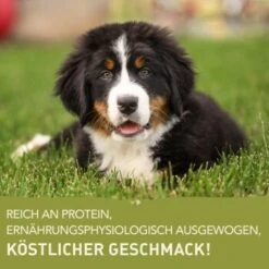 ACANA Puppy Large Breed 11,4kg -Trixie Verkäufe 3c2c510ecc9e994aa3b25ef585c782532e177b8d 1236218 de DE Acana Large Breed Puppy Benefit GERMAN 1