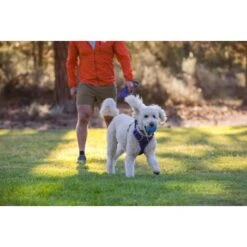 Ruffwear Huckama™ Spielzeug Violett -Trixie Verkäufe 3c9858f23e189df169fef8e6b079b9b80afe5185 1639706 de DE 22affde3e5114f0c2b5db19a77f0508968440a74megCgS