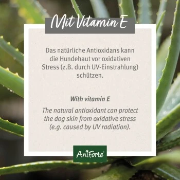 Aniforte Ohren-Reinigungspads Ohrenpflege Pads 100 Stück 2 Aniforte Ohren-Reinigungspads Ohrenpflege Pads 100 Stück – Bild 2