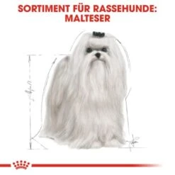 ROYAL CANIN Maltese Adult 1,5 Kg 1,5 Kg -Trixie Verkäufe 3eeb7f69af147bc5f04c404f6669c7f0a526e99c 337199db195a0656d970493cf83194fff6f65266
