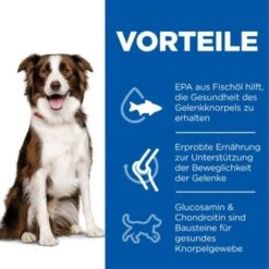 Hill's Science Plan Healthy Mobility Medium Breed Adult 1+ Mit Huhn 14 Kg -Trixie Verkäufe 3fcaebf69525b009c44756b18933a850b2f3883d 52742026138 4
