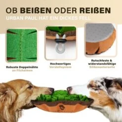 URBAN PAUL Schnüffelteppich - Grün -Trixie Verkäufe 41b69e30147446053fcf1ef3a5c0ef4e586c3637 1477263 de DE f3d4dc055420076a5d6665754e59033e977ead92pVbA3s