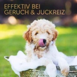 Pawlie's Welpenshampoo -Trixie Verkäufe 42f9c58257fb2002e5c33c2d81bd829c9adeb1cc 1626204 de DE 8b17d3990cf88ea437c76c60b6848183bc9636a5a44ihJ