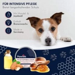Pawlie's Pawlie’s Pfotenpflege Balsam 100ml -Trixie Verkäufe 4414e72f07d787db12a69fedf5823afe48e9ba64 1626196 de DE 4365dffd6d422f328ede6af1afc9d14128ef1417O2b3OO