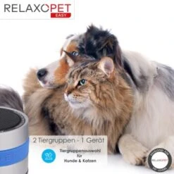 RelaxoPet EASY Tierentspannungs-Trainer Für Hunde Und Katzen 11 RelaxoPet EASY Tierentspannungs-Trainer Für Hunde Und Katzen -Trixie Verkäufe 4476be157af12df554867b6e93f144b9ceb36a4a 1396143 de DE d434b17460c4f49edf8862d0c0ea4bbeca4221e3ODM7na