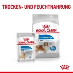ROYAL CANIN Light Weight Care Maxi 12 Kg 11 ROYAL CANIN Light Weight Care Maxi 12 Kg -Trixie Verkäufe 44f3910250d98933060d3ad275673b27926a2273 1376170 de DE aoks 7