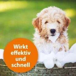 Ardap Anti Zecken Shampoo Für Hunde 250ml -Trixie Verkäufe 45234aab493187b4f025c9c1611ba91401852a61 1289723 de DE 011c29b51870fd299b578444e9341eb4fefc30b304XMpl