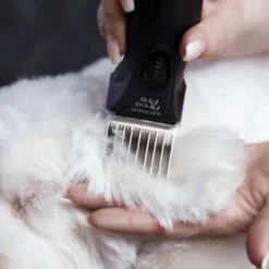 Moser Schermaschine Arco Pro 18 Moser Schermaschine Arco Pro -Trixie Verkäufe 4a8923d4e135d6dcdc4b5babae8a3f589e005869 01419b78963226934274d63a024e8d91d3673041