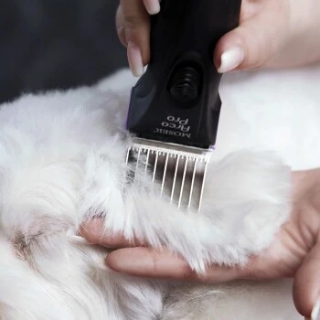 Moser Schermaschine Arco Pro 8 Moser Schermaschine Arco Pro – Bild 8