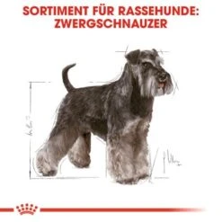ROYAL CANIN Zwergschnauzer Adult 3kg -Trixie Verkäufe 4b254e5382fabcd23f48acb6657e77713d8a691f 070e96f3f4004e947ccdcc877c4e123371366cdd