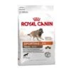 ROYAL CANIN ENERGY 4300 (TRAIL) 15kg