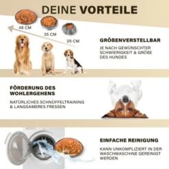 URBAN PAUL Schnüffelteppich - Grau -Trixie Verkäufe 52a57a465e43989eb626f909380e9a43fc6d422f 1477265 de DE 2e0326d2412135da4b4dbf18500c90d40ebe94e0B4HI12