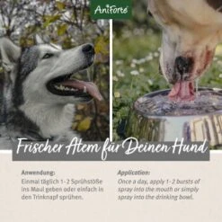 Aniforte Dentalspray Zahnpflege Spray 100ml -Trixie Verkäufe 5407327dc1ff8b3c62918c78a261300c797ac1a5 1439278 de DE d65d8e1ebeada7690aae8d6a4c6fc70cb3dbb3e9igaN3s