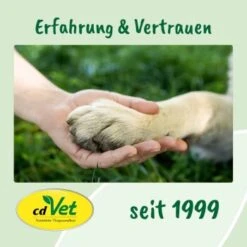 DentaVet Gel 35g -Trixie Verkäufe 545e087e057912f1eb130f03a5533927e129f40b 1249039 de DE f215127866d604991b4efc218004018ddf4470952Q2KTf