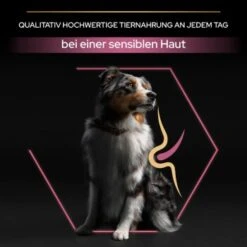 PRO PLAN Optiderma Medium Adult Sensitive Skin 14 Kg -Trixie Verkäufe 553403db249db42becb171390833d151dc763305 1206429 5