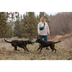 Ruffwear Pacific Ring™ Spielzeug Blau/ Türkis -Trixie Verkäufe 55dba30b9a5e3fc77d29bb72e0dc6fad83c40ffc 1444351 de DE 8a3b2d989e7fae2c85eabfcfca3bb7709484f9a3jKDH9l