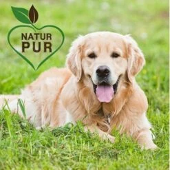 Fit-Crock Classic Lamm Maxi -Trixie Verkäufe 572aa89bc910e31893995e44aa05ef340fdfa24c 1687099 de DE f696ec27369198bd4394c88715b6b073e090c44aFcn83B