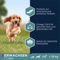 EUKANUBA Adult Small & Medium Breed Lachs 12kg 7 EUKANUBA Adult Small & Medium Breed Lachs 12kg -Trixie Verkäufe 5933f8752d3e56543c86195fc7fc048ee244f003 87fd8c6c7395e3c5af5bdc8f2510da668a11f0d1