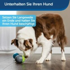PetSafe Elektronisches Hundespielzeug Ricochet -Trixie Verkäufe 5eadda9b8e1c472d17e8160a968897c5f1589a26 1418724 de DE f0080b3bce77c44349e2b70b9453ceaf44e2d3d6nqnVTG