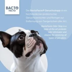 ChronoBalance BactoFacto Probiotischer Geruchsstopp Pads Für 2 Liter 20 Ml -Trixie Verkäufe 6515b6e6800e68909a0a5f7e0f816613e8c36542 1397549 de DE 9a466fcf5c88e78df191b07c6d764f4746df49dcxtsIbT