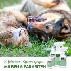 Aniforte Milben-STOP Spray Für Hunde Und Katzen 100 G -Trixie Verkäufe 65c573e701babc35d0222949c6f8e5e51e98ed10 1656142 de DE a537cb98349378307bdd6f629cf67a682ee52db6lSupmg