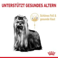 ROYAL CANIN Yorkshire Terrier 8+ Für ältere Hunde 1,5 Kg -Trixie Verkäufe 6820f5d1668861335aff838ca8d75b9ceca269c3 0b00c689a5c0f3d962d4b7472621f235a6da7ba2