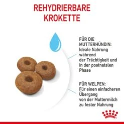 ROYAL CANIN MAXI Starter 15kg -Trixie Verkäufe 6b3d4eca89fc38af516846f4b626b5bde7538980 1044296 de DE royalcaninwb4