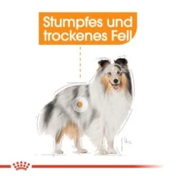 ROYAL CANIN Coat Care 12x85g -Trixie Verkäufe 6f72baa6b87b6b642a0861fe5613cf1b190126bc 2de419aa9dd78013489eda17774fa47a23433c55