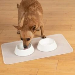 KaraLuna Basic Napfunterlage Transparent S -Trixie Verkäufe 6f92b46b9666870298738b4bee75a50ee534fac6 1407499 de DE 14497c23a79b7136237df13f9c32b5ed84fd5ff04vyZgl