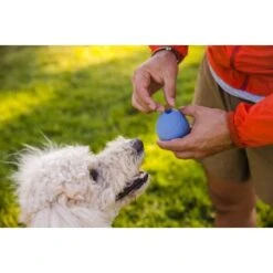 Ruffwear Turnup™ Spielzeug Violett -Trixie Verkäufe 708e59a1fbc9e9a4e5a251230d3a5a466a41cd46 1639873 de DE aed329193f910634e544626b706606bf1d9a42e0yMTSe3