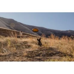 Ruffwear Hover Craft™ Spielzeug Orange -Trixie Verkäufe 7111f12b44323f3d6c15a85a889225520ab85f0d 1364297 de DE 664accd36f55b32e3ca302e20a868b09c8c0d85ePbTUSI