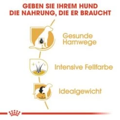 ROYAL CANIN Zwergschnauzer Adult 3kg -Trixie Verkäufe 77e331cd9fcae9ed7be9f7a8c30418a1469100cb 1e18f973f74ec6522c9cbb67634ea47bb6587bea