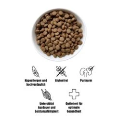 Eat Small EatSmall 2kg Active Trockenfutter -Trixie Verkäufe 789920f125bd0e1b6a6463034df7e59e29d23cae 1397963 de DE 3afc6319dab2229d23c78f66619a85133d5150ff6KQmkM