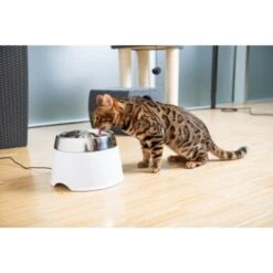 AniOne Edelstahl-Trinkbrunnen Trevi Ohne Ersatzfilter -Trixie Verkäufe 7a066af048695bbfaeca0a855e5984fc3bf99d03 689fcf415d486ac05c07f2a4868b1d087d7a9ece