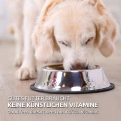 Aniforte Nassfutter Junior Menue Huhn 6 X 400g -Trixie Verkäufe 7b05369d102e388ef3ad45e6920919adb5fad962 1422190 de DE ea5c02a12d8bef9242a9cf9407e83b1475c1ef6eYTXH0r