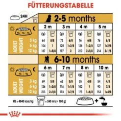 ROYAL CANIN Poodle Puppy 3kg -Trixie Verkäufe 7c356ad4610b8a705c3b24f682002d504aa26a06 03759a00ee1cb8701f90fe54c89729f207ade41a