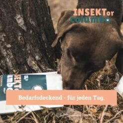BeG Buddy Trockenfutter Insekten 10 Kg 10 BeG Buddy Trockenfutter Insekten 10 Kg -Trixie Verkäufe 809bc4ff3b44a47ca72efd37dd80bd2ebc8d6768 1457249 de DE 123bfe8a8f9618b3a58ac5efe483c5e0ad6f0bd2L86XLS