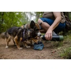 Ruffwear Great Basin™ Napf Schieferblau S -Trixie Verkäufe 824b44ccf17c67c3dd43e5523941633c95efed85 1651551 de DE fad827ec7223895423979e3215d64ffaeae47c26HGRUuZ