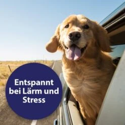 Canosept Home Comfort Beruhigungsspray Für Hunde 100 Ml -Trixie Verkäufe 83722164e39a9871cce2ee23a4ff550833c770e3 canosept home comfort content 03