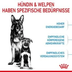 ROYAL CANIN MAXI Starter 15kg -Trixie Verkäufe 84509061cc88bbba93af28332fe80ae82ca37ef9 1044296 de DE royalcaninwb2