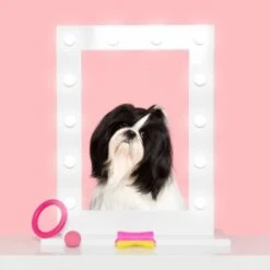 New Flag Pet Teezer Detangling Pink 4 New Flag Pet Teezer Detangling Pink -Trixie Verkäufe 84748dbe48cb5ec1c0395d2862e8eefd6e199f16 a41cf91d59690239bbd1d4b3ed66387702908c6a