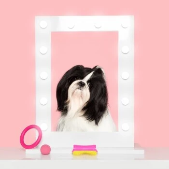 New Flag Pet Teezer Detangling Pink 2 New Flag Pet Teezer Detangling Pink – Bild 2