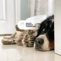 KYVETIN Spray Skin Repair Für Hunde Und Katzen -Trixie Verkäufe 851cbfa418e315e47d7ba499ec62be71e3229497 1364195 de DE KyvetinSpray 7