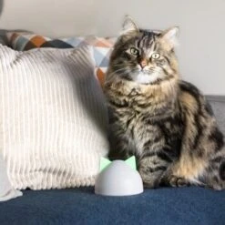 SureFlap Sure Petcare Hub -Trixie Verkäufe 852b1bc3a8108075f76c20971c6ccd4d4ae1aeee 64f4b5749fc73b0bad1049a6b67d5e53fa50ba07