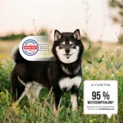 KYVETIN Spray Skin Repair Für Hunde Und Katzen -Trixie Verkäufe 855eb3c7fca7c841451cde094ef9ccbea4bfbca8 1364195 de DE KyvetinSpray 5