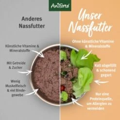 Aniforte GreenfieldTurkey Pute Mit Quinoa 2,4 Kg -Trixie Verkäufe 87fa8abed10a2dd56385d42b5e4495a316e5e475 1422188 de DE fcf542fb4d42b977b010bc0c68872ccabafd165c8P5Yor