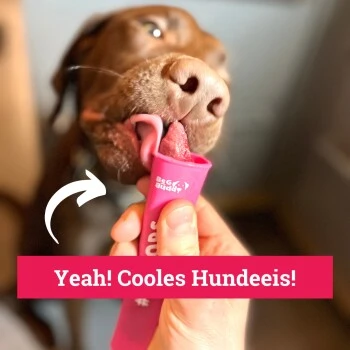 BeG Buddy Hundeeis Am Stiel 6x 6 BeG Buddy Hundeeis Am Stiel 6x – Bild 6