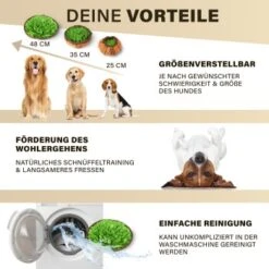 URBAN PAUL Schnüffelteppich - Grün -Trixie Verkäufe 88b1e83589eb6f9b9d6ae1ee9e00f76cd280ec72 1477263 de DE c4a0dff3ce61eff6f47a9625e837cb3fb18e27168j8mOa